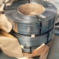 Wholesale Price Galvanized Steel Strip