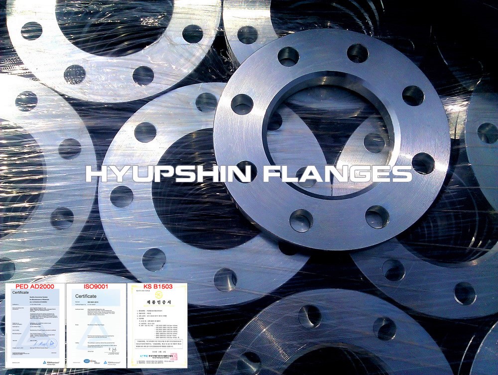 Hyupshin Flanges Forged Flange