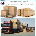 Cargo Transportation Ocean Shipping Freight Forwarder From China to Belgium