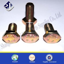 Fastener Lock Screw Hex Bolt (Zinc Plated)