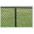 Galvanizado ou PVC Revestido Chain Link Fence para Animais