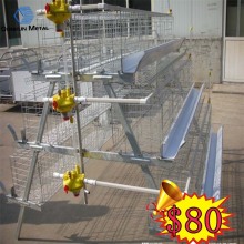 High Quality Layer Chicken Cage for Sale