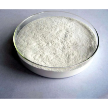 Hydroxypropylmethylcellulose (HPMC)