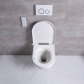 Toilet Spray Flusher New Model Wall Hung Smart Toilet