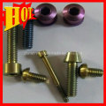 Titanium Fasteners Gr5 with ISO9001: 2008 Certificate