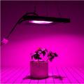 Commercial Full Spectrum Lamp 50W LED Grow Light