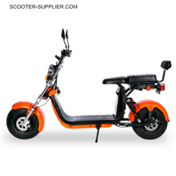 Long Range Citycoco chopper Electric Bike