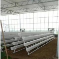 NFT Hydroponic Growing Gully für Gewächshaus