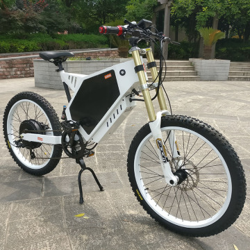 Custom CE Approved Fat Tire Electric Bikes