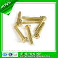 Brass Patinted Knurled Head Phillips Screw