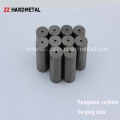 G1 G2 G3 G4 G5 G6 Cemented Carbide Punching Dies.