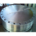 Blind Flange (BL) Carbon Steel Forged Flange