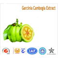 Best price hydroxy citric acid garcinia cambogia extract