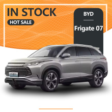 Fragata SUV Byd de 5 lugares 07