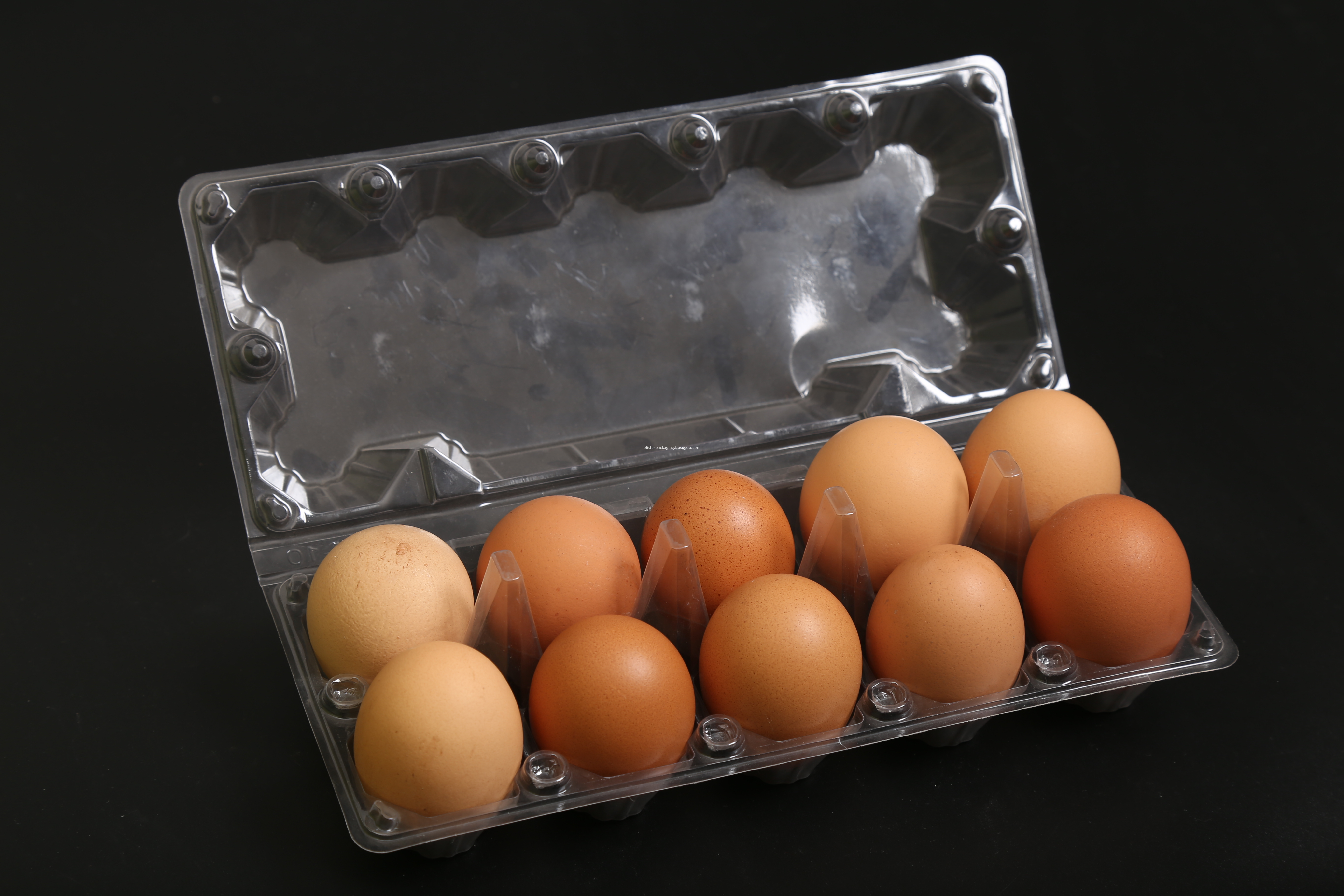 egg carton packaging