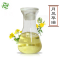 natural Evening primrose oil in bulk price