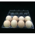 Egg Packing Box Manufacturer (food tray)