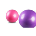 Exercise Ball Heavy Duty Stability Ball Home Gym Fitness Ball Including air Plug Airlift Quick Pump