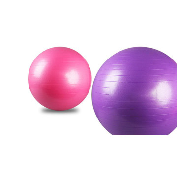 Exercise Ball Heavy Duty Stability Ball Home Gym Fitness Ball Including air Plug Airlift Quick Pump