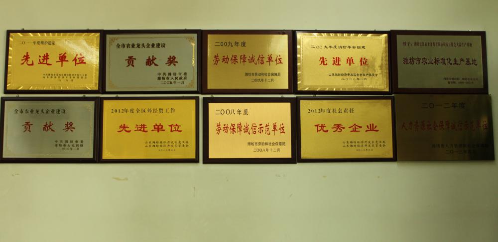 company total (5) company total (5)