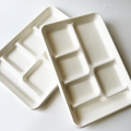 Bagasse 6 compartment tray 320x233x30mm