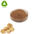 Lion's Mane Mushroom Extract 10%-50% Polysaccharide Powder