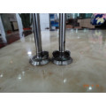 Most Special Popular Customize Engine Valves