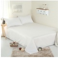 Padrão sólido Estilo simples personalizado Tamanho 4PCS Bedding Set