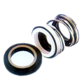 Non-standard Double Mechanical Seal