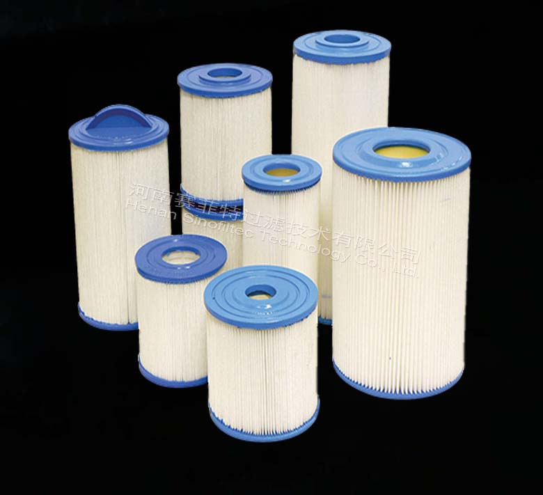 Blue Polyester Filter Cartridge