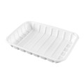 Biodegradable Food Serving Tray