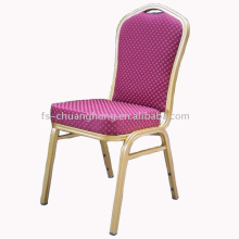 Nice Restaurant Chairs (YC-ZL22-23)