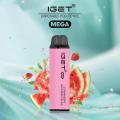 Fruit Flavors Disposable Vape Iget Mega