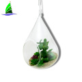 Hanging Clear Glass Succulent Flowerpot Container