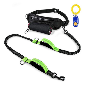 Bungee Hands Free Dog Leash