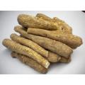 Hot Sale 100% Natural Angelica Dahrica PE