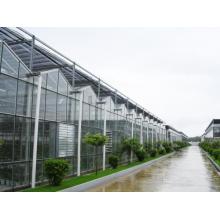 Light stabilizer for greenhouse film covers