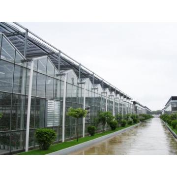 Light stabilizer for greenhouse film covers