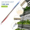 T8 Led Grow Light Tube 36W