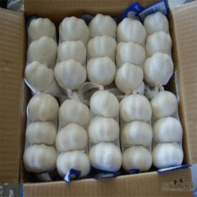 New Crop Meilleur prix pour Garlic Factory Price