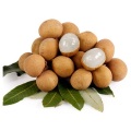 Chinese Fresh Longan Fruit