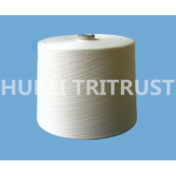 Polyester Spun Yarn for Sewing Thread (62s/2)