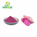 Purple sweet potato extract Anthocyanins