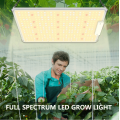 Sunlike 150W led grow panel light Full Spectrum