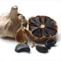 Pure Black Garlic From Black Garlic Machine