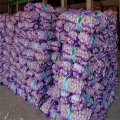 New Crop Fresh Garlic Best Factory Price