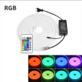 RGB Waterproof LED Lamp Fairy Neon Lights