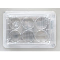 Lab Tissue Culture Cell Culture Plate Disposable