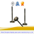 Auto FIAT Diesel Spare Engine Valve spindle