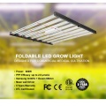 Best 900W Grow Lamps Tomatoes